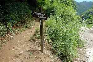 ���F���`������񑑁`����쓻�`���� | ���F���n�C�L���O