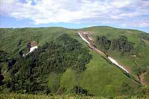 �܍��ځ`�j�Z���@�R�`���@���� | ���@�R��˔����s�X�g��