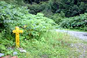 ���`��򏬉��`�j�m�؏����`�j�m�؊x | �k�A���v�X������c���s��