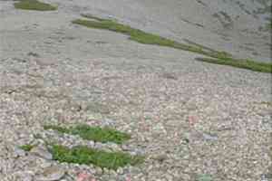 �j�m�؏����`�@�؊x�`�k���x�`���q�x�`�D�E���� | �k�A���v�X������c���s��