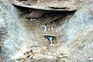 �j�m�؏����`�@�؊x�`�k���x�`���q�x�`�D�E���� | �k�A���v�X������c���s��