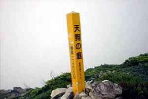 �D�E�����`���q | �k�A���v�X������c���s��