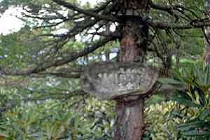 �D�E�����`���q | �k�A���v�X������c���s��