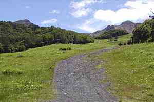 �֒򍂌��`���֒�X�L�[��`�����`���̓� | �������ܔ֒�R�n�C�L���O