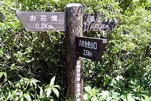 ���̓��`�O�@�����`�֒�R | �������ܔ֒�R�n�C�L���O