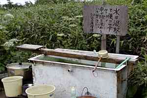 ���m�r�`������`�O���x�`�؍������`�{�R���� | �іL�A��c��