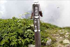 ���m�r�`������`�O���x�`�؍������`�{�R���� | �іL�A��c��