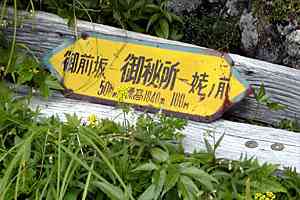 ���m�r�`������`�O���x�`�؍������`�{�R���� | �іL�A��c��