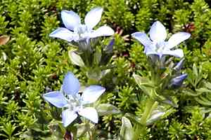 ���m�r�`������`�O���x�`�؍������`�{�R���� | �іL�A��c��