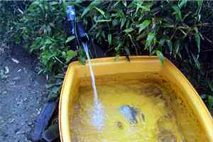 �䐼�����`�G�X�q�x�`�k�Ҋx�`����x�`�n�_�R�`����؏��� | �іL�A��c��