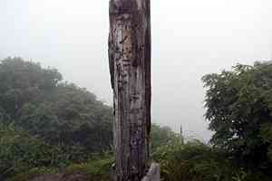 �䐼�����`�G�X�q�x�`�k�Ҋx�`����x�`�n�_�R�`����؏��� | �іL�A��c��