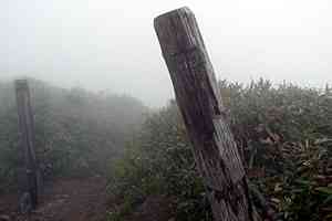 �䐼�����`�G�X�q�x�`�k�Ҋx�`����x�`�n�_�R�`����؏��� | �іL�A��c��