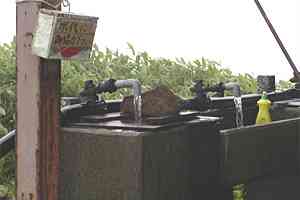 �䐼�����`�G�X�q�x�`�k�Ҋx�`����x�`�n�_�R�`����؏��� | �іL�A��c��