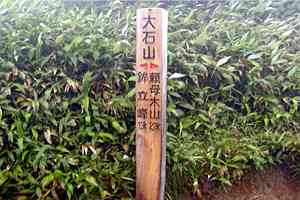 ����؏����`���Ԃ荷�x�`����؏����`�n�_�k��`�іL�R�� | �іL�A��c��