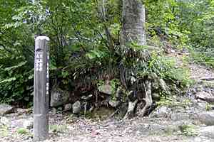 ����؏����`���Ԃ荷�x�`����؏����`�n�_�k��`�іL�R�� | �іL�A��c��