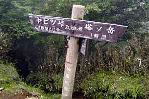 �G���R�`�s�Ҋx�`���􏬉��`�V��������`�؃m�������`���m�x | �O��c���_�b�V��