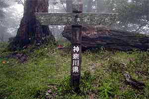 ���m�x�`�O��R�`�g���x | �O��c���_�b�V��