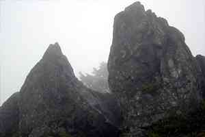 ���m�x�`�O��R�`�g���x | �O��c���_�b�V��