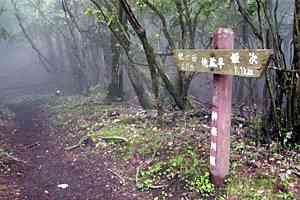 �g���x�`�P���`�o�k�R�`�ĎR�`����X | �O��c���_�b�V��