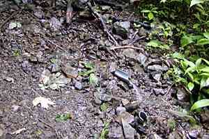 �g���x�`�P���`�o�k�R�`�ĎR�`����X | �O��c���_�b�V��