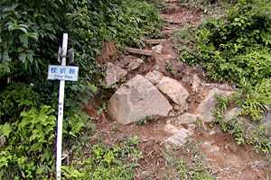 �}�ܓ��`�S���̒r�`��̏����`�z���x | �z��O�R�c��