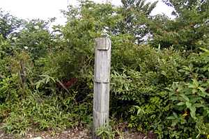 �}�ܓ��`�S���̒r�`��̏����`�z���x | �z��O�R�c��