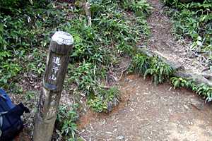 �}�ܓ��`�S���̒r�`��̏����`�z���x | �z��O�R�c��