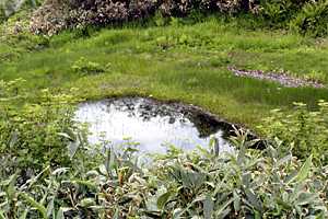 �}�ܓ��`�S���̒r�`��̏����`�z���x | �z��O�R�c��