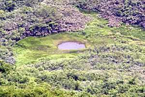 �}�ܓ��`�S���̒r�`��̏����`�z���x | �z��O�R�c��