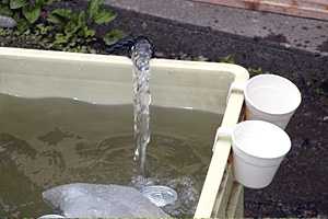 �}�ܓ��`�S���̒r�`��̏����`�z���x | �z��O�R�c��