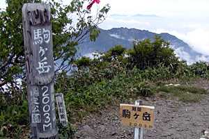 �}�ܓ��`�S���̒r�`��̏����`�z���x | �z��O�R�c��