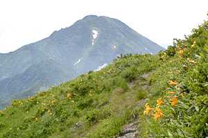 �z���x�`���m�x�`�P�� | �z��O�R�c��