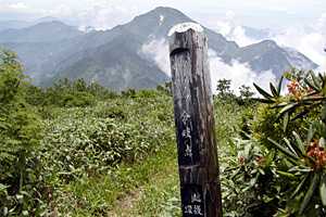 �z���x�`���m�x�`�P�� | �z��O�R�c��