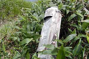 �z���x�`���m�x�`�P�� | �z��O�R�c��