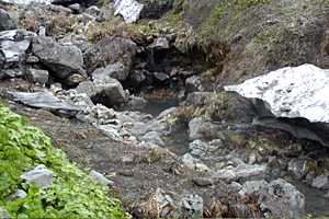 �z���x�`���m�x�`�P�� | �z��O�R�c��