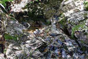 �����x�`���b��`��{�w�����`���l���`�S���h�� | �z��O�R�c��