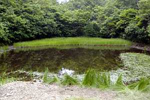 �����x�`���b��`��{�w�����`���l���`�S���h�� | �z��O�R�c��