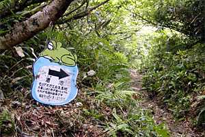 �����x�`���b��`��{�w�����`���l���`�S���h�� | �z��O�R�c��