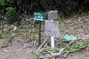 �����x�`���b��`��{�w�����`���l���`�S���h�� | �z��O�R�c��