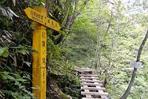 ����`���R�`��S�x�`��S�x���� | �k�A���v�X��O�x�c��