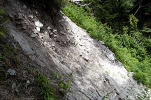 ����`���R�`��S�x�`��S�x���� | �k�A���v�X��O�x�c��