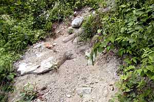 ����`���R�`��S�x�`��S�x���� | �k�A���v�X��O�x�c��