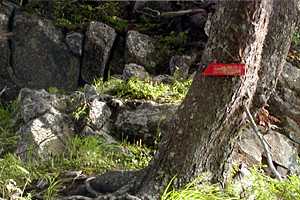 ��S�x�����`����x�`�����z�`���x�`���R���`��V��x�`��V�� | �k�A���v�X��O�x�c��