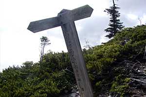 ��S�x�����`����x�`�����z�`���x�`���R���`��V��x�`��V�� | �k�A���v�X��O�x�c��