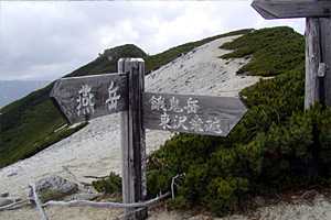 ��S�x�����`����x�`�����z�`���x�`���R���`��V��x�`��V�� | �k�A���v�X��O�x�c��