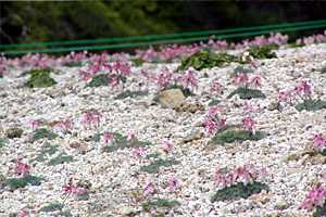 ��S�x�����`����x�`�����z�`���x�`���R���`��V��x�`��V�� | �k�A���v�X��O�x�c��