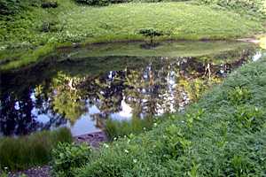 �����x�q���b�e�`�d���̒r�`�����R�`����`�㍂�n | �k�A���v�X��O�x�c��