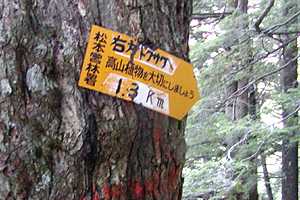 �����x�q���b�e�`�d���̒r�`�����R�`����`�㍂�n | �k�A���v�X��O�x�c��