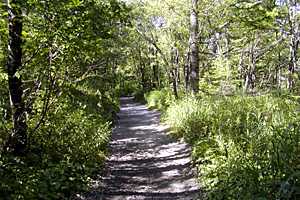 �����x�q���b�e�`�d���̒r�`�����R�`����`�㍂�n | �k�A���v�X��O�x�c��