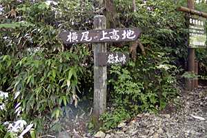 �����x�q���b�e�`�d���̒r�`�����R�`����`�㍂�n | �k�A���v�X��O�x�c��